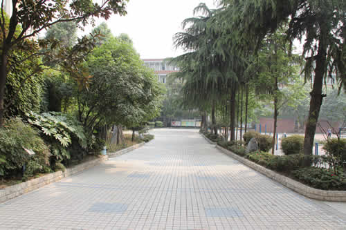 成都列五中學校園風采