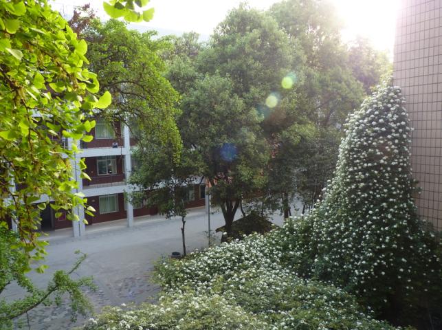 石室聯(lián)合中學蜀華分校怎么樣？