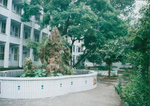 內(nèi)江十三中地址在哪？