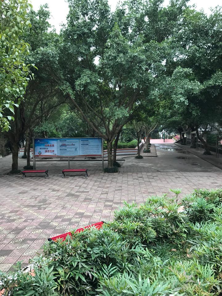 內(nèi)江十二中好嗎？