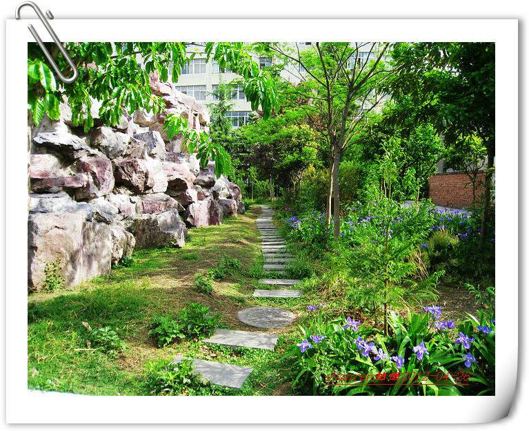 甘洛中學(xué)地址在哪里？