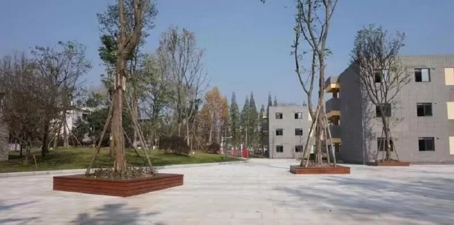 成都綿實外國語學(xué)校2019年招生公告公布了嗎？