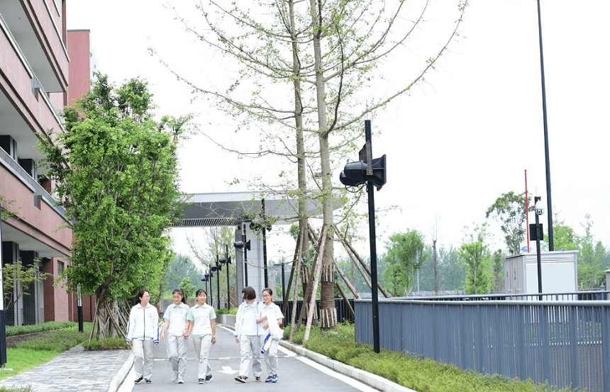 電子科技大學實驗中學升學率高不高？