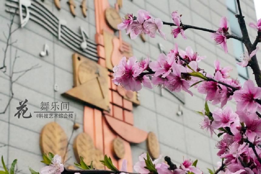 石室天府中學(xué)環(huán)境好不好、怎么樣？