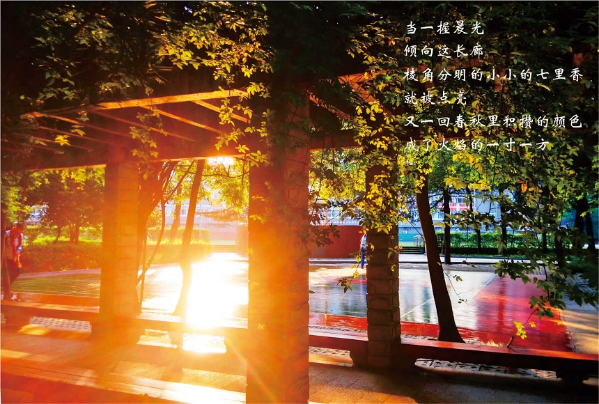 成都七中高新校區(qū)2019年中考分?jǐn)?shù)線是多少？