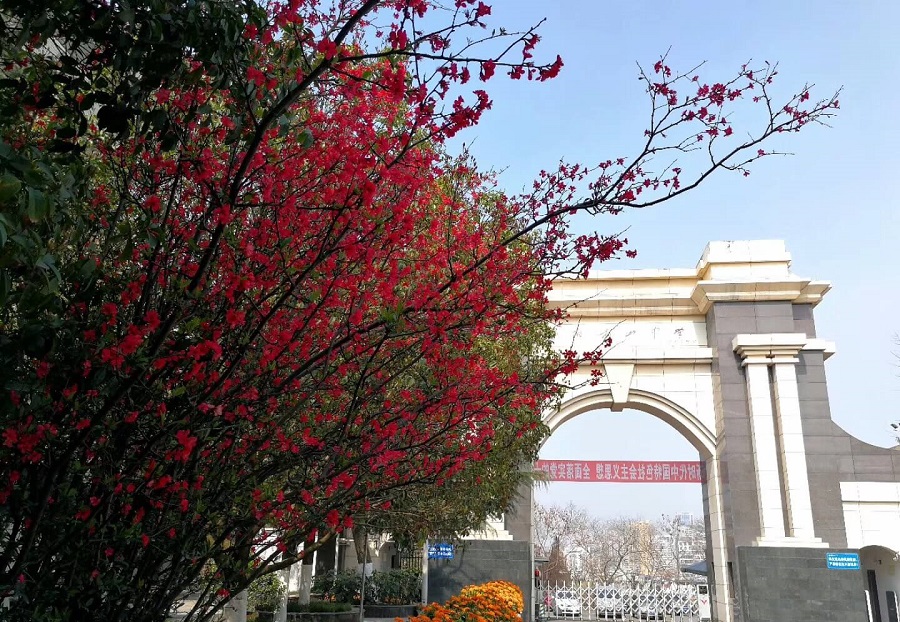 綿陽南山中學(xué)學(xué)費貴嗎？