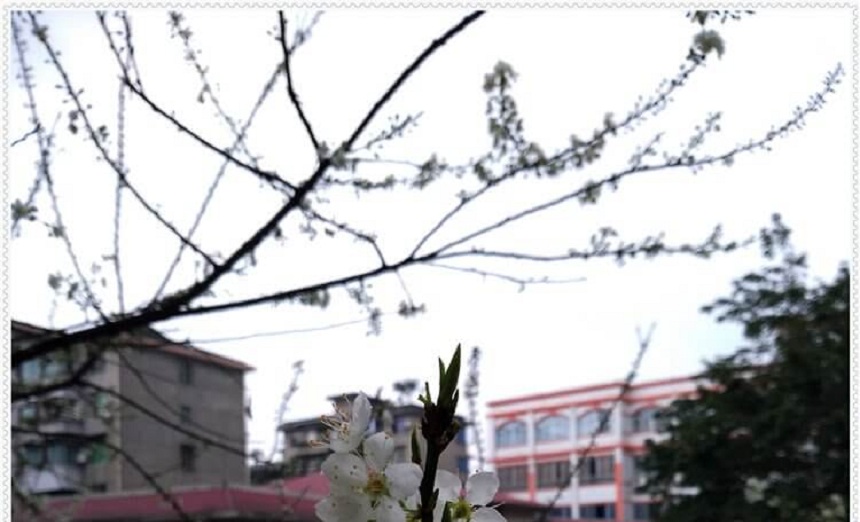 洪雅中學是一所公辦高中學嗎？