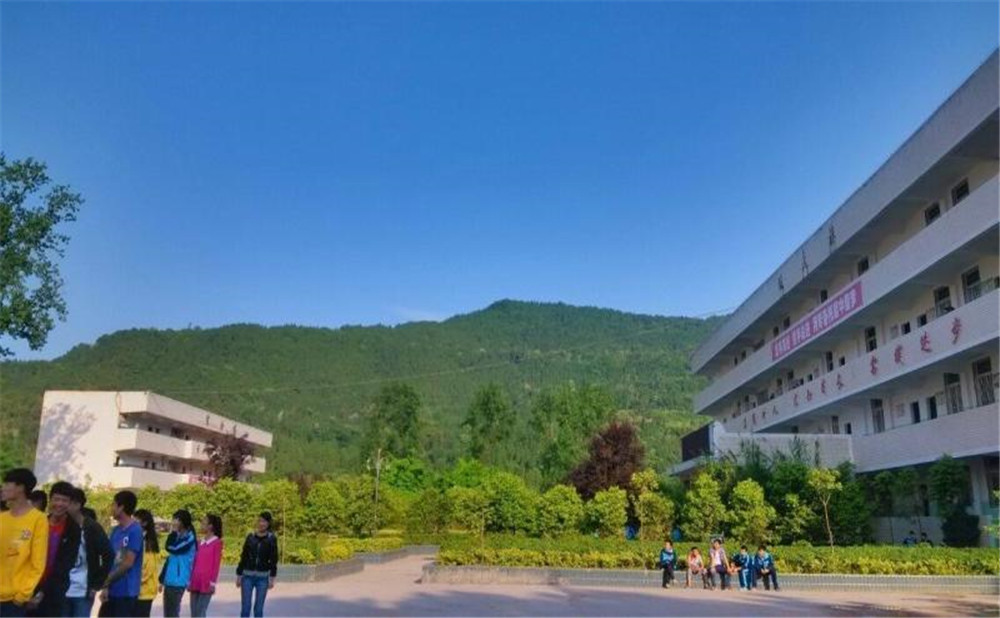 金山中學(xué)2020年學(xué)校招生計(jì)劃在哪兒看？