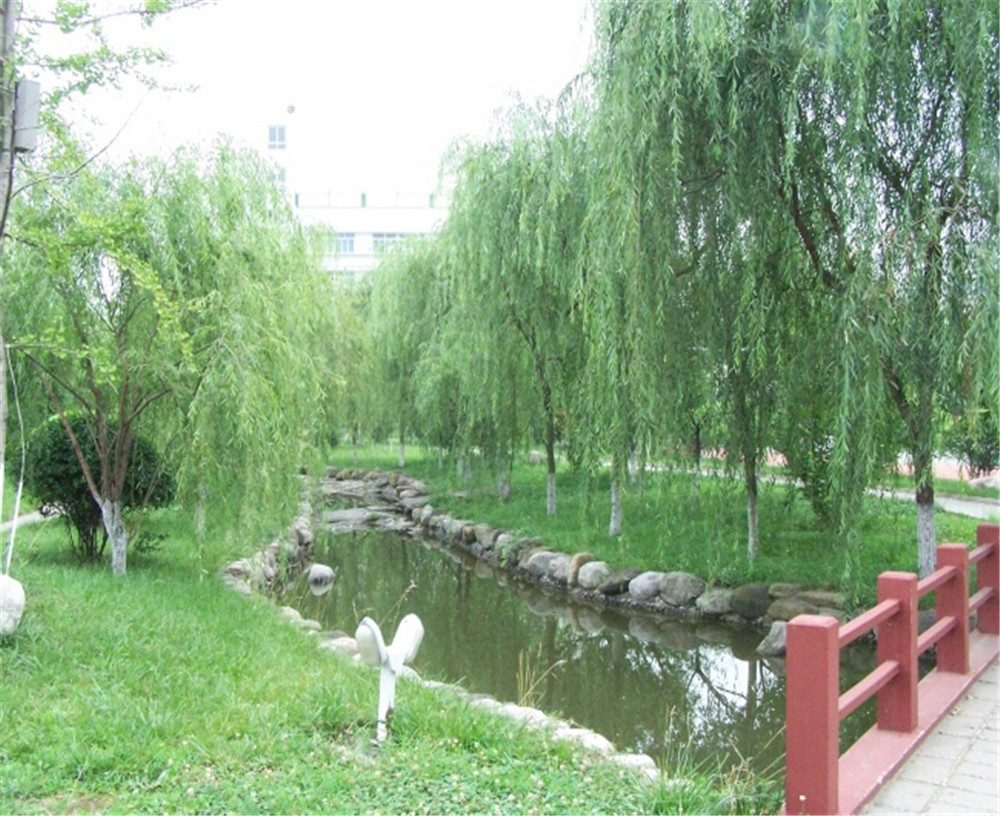 廣元外國語2020年學(xué)校招生分?jǐn)?shù)公布了嗎？