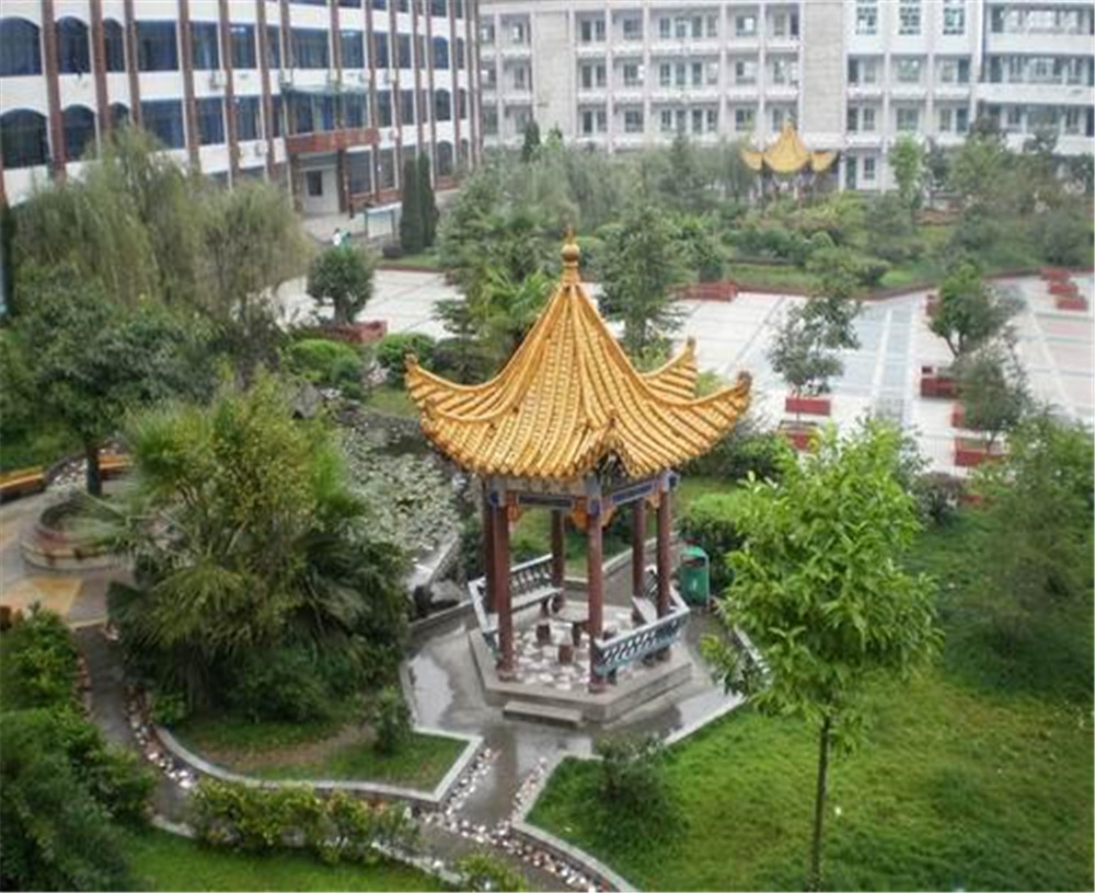 渠縣涌興中學(xué)2020年招生計(jì)劃公布了嗎？