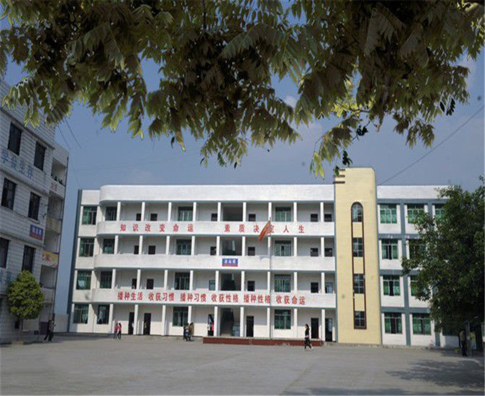 臨巴中學(xué)的詳細(xì)地址在什么地方？