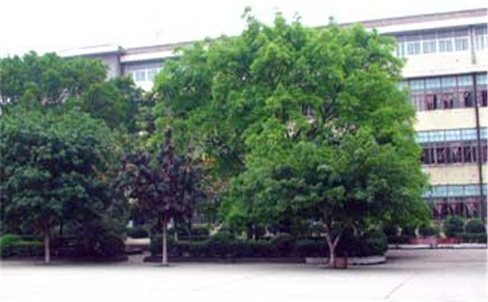 威遠縣自強中學2020年招生簡章公布了嗎？