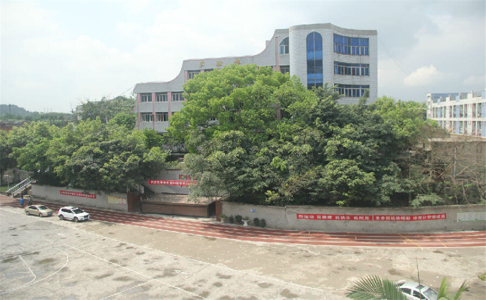 內(nèi)江鐵路中學(xué)學(xué)校環(huán)境怎么樣？