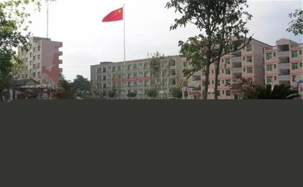 內(nèi)江市第十一中學(xué)學(xué)校招辦電話是多少？