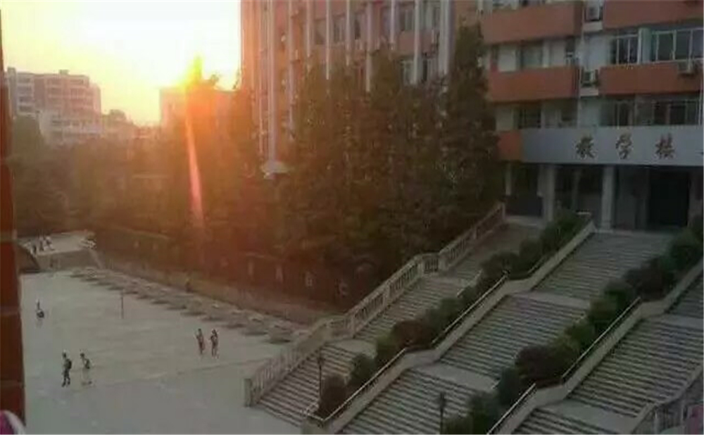 南充十一中學(xué)校招辦電話是多少？