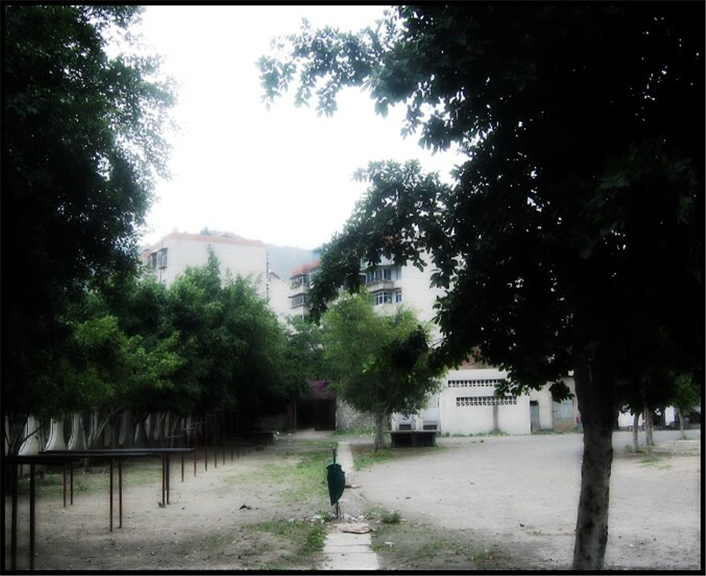 攀枝花市延邊縣中學(xué)校招辦電話是多少？