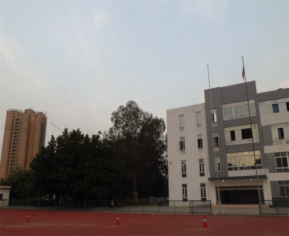 四川省攀枝花市第九中學(xué)校招辦電話是多少？