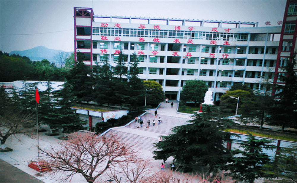 南部市伏虎中學學校詳細地址在什么地方？