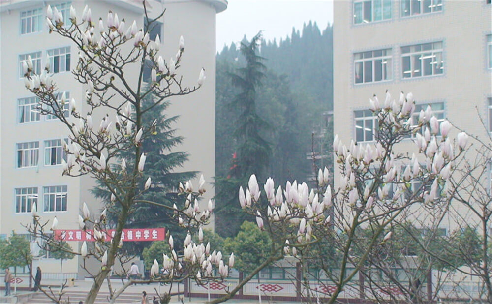 建興中學(xué)2020年中考錄取分?jǐn)?shù)線多少分？