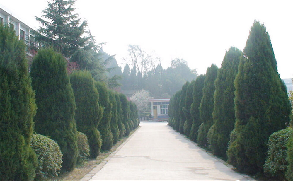 建興中學(xué)學(xué)校環(huán)境怎么樣？