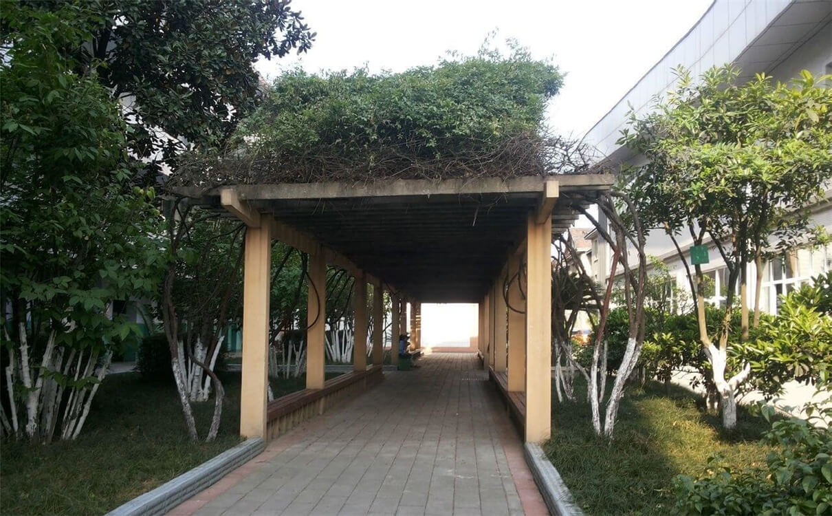 通錦中學(xué)的高中怎么樣？