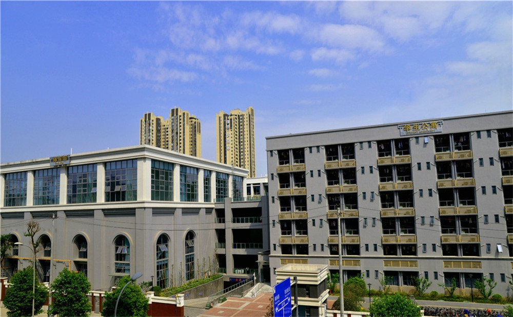 成都市第四十九中學(xué)去年的錄取分?jǐn)?shù)是多少？