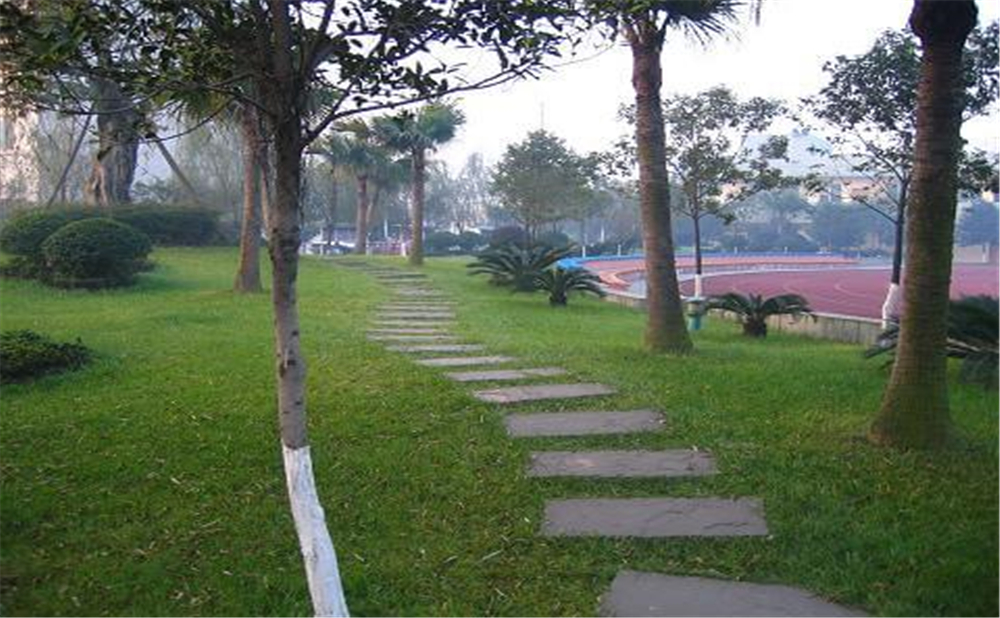 成都石室佳興外國語學(xué)校外招生一年的學(xué)費是多少錢？