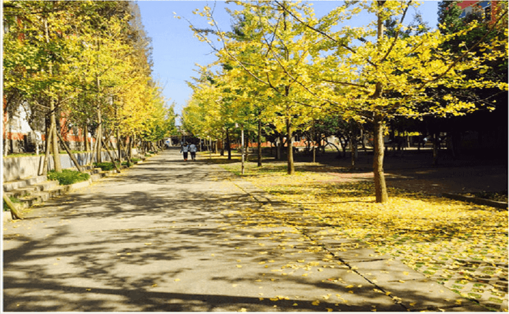 大邑中學(xué)2020年招生標(biāo)準(zhǔn)在哪兒看？