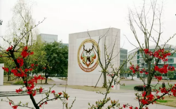 成都實(shí)驗(yàn)外國(guó)語(yǔ)學(xué)校（西區(qū)）2020年的招生標(biāo)準(zhǔn)是什么？