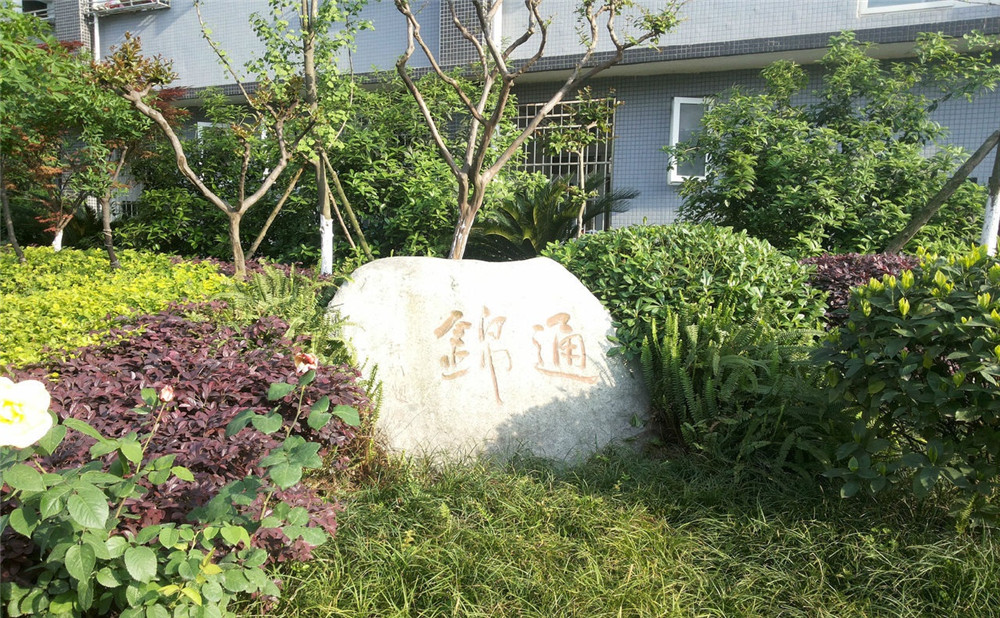 通錦中學2020年招生標準是什么？