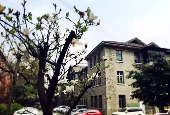 通錦中學(xué)的宿舍怎么樣？