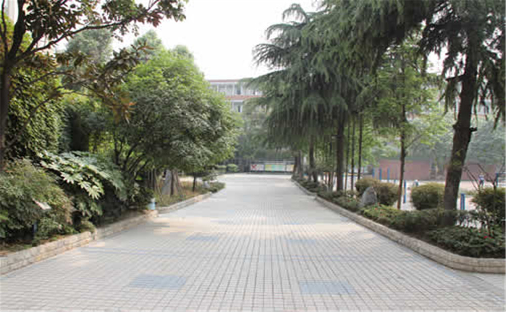 成都列五中學(xué)高中一年的學(xué)費(fèi)是多少？