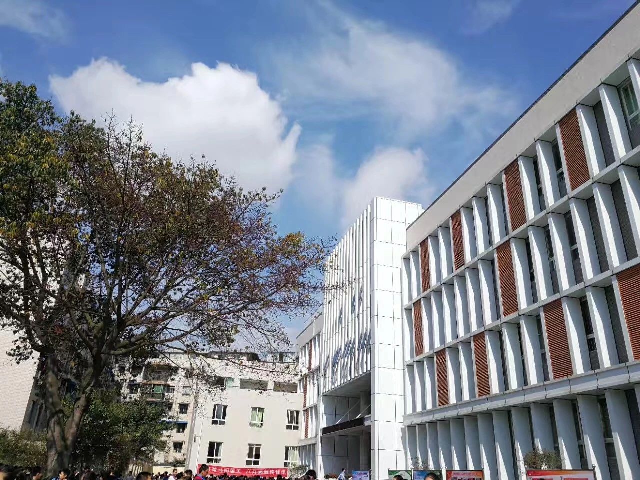 成都二十中高中一年的學(xué)費(fèi)是多少？