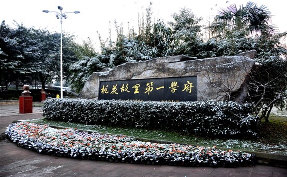 2020年成都市龍泉中學(xué)計(jì)劃招多少人？