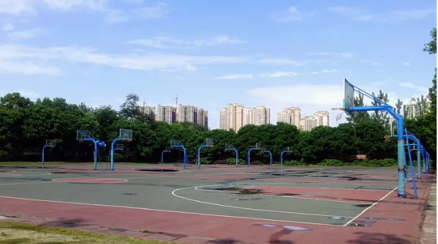 成都實(shí)驗(yàn)外國(guó)語學(xué)校的本科升學(xué)率是多少？