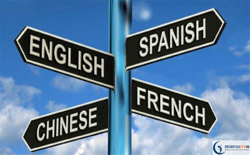 成都石室外國語學(xué)校的學(xué)費(fèi)收費(fèi)標(biāo)準(zhǔn)是多少？