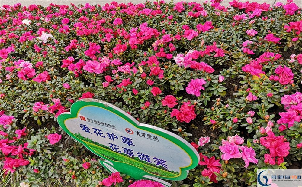 育才學(xué)校高中歷年來的分?jǐn)?shù)線是多少？