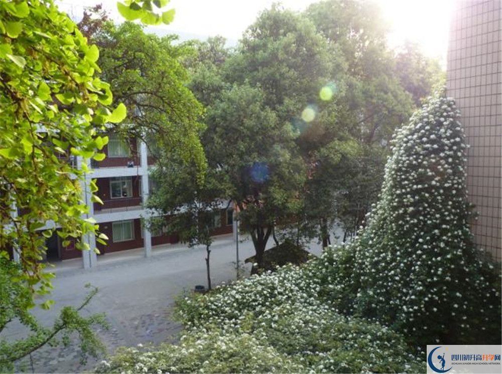 四川師范大學(xué)實(shí)驗(yàn)外國語學(xué)校2020年錄取條件是什么？