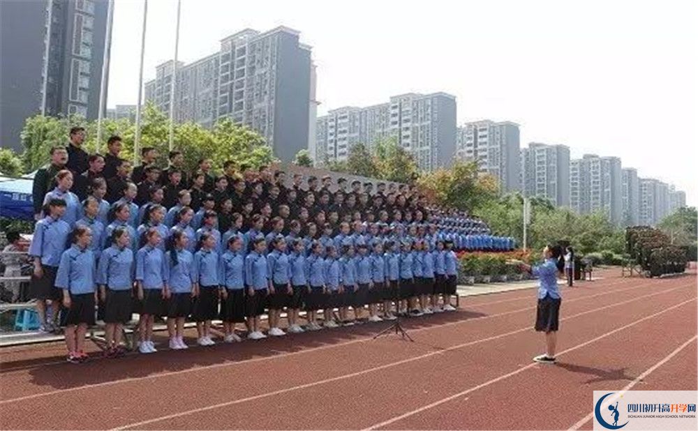成都三十七中的地址在哪里？