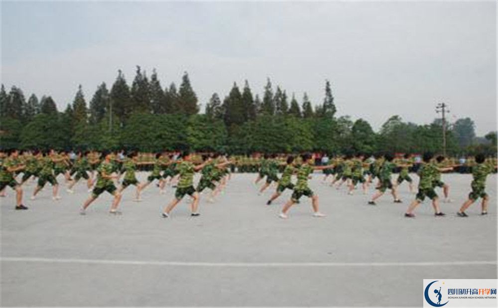 香城中學(xué)高一分班嗎？