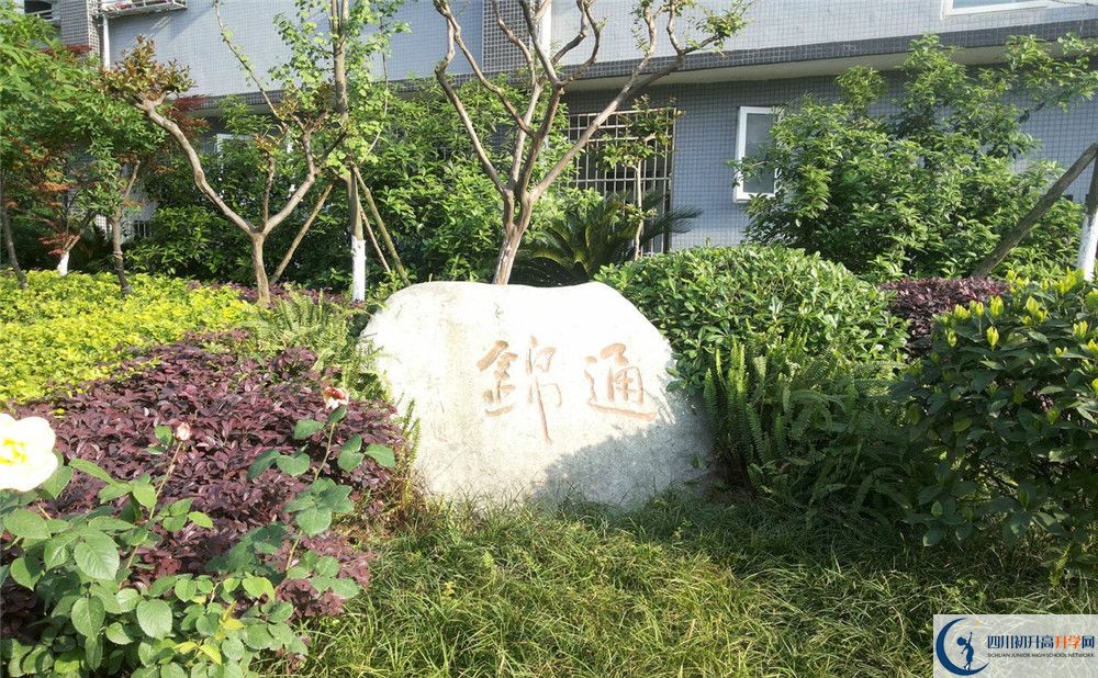 通錦中學高一多久放一次假？