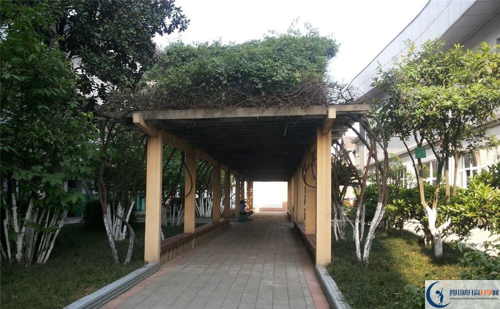 通錦中學2020年清華北大錄取學生有多少？