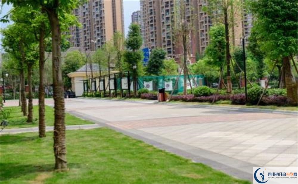 成都教科院附屬學(xué)校2020年清華北大錄取學(xué)生有多少？