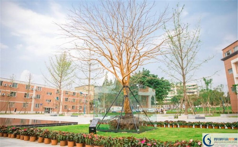 新格林藝術(shù)高級中學校2020年清華北大錄取學生有多少？