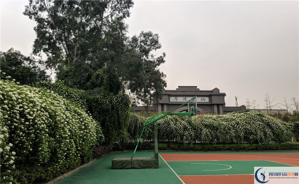 陽(yáng)安中學(xué)地址怎么走？