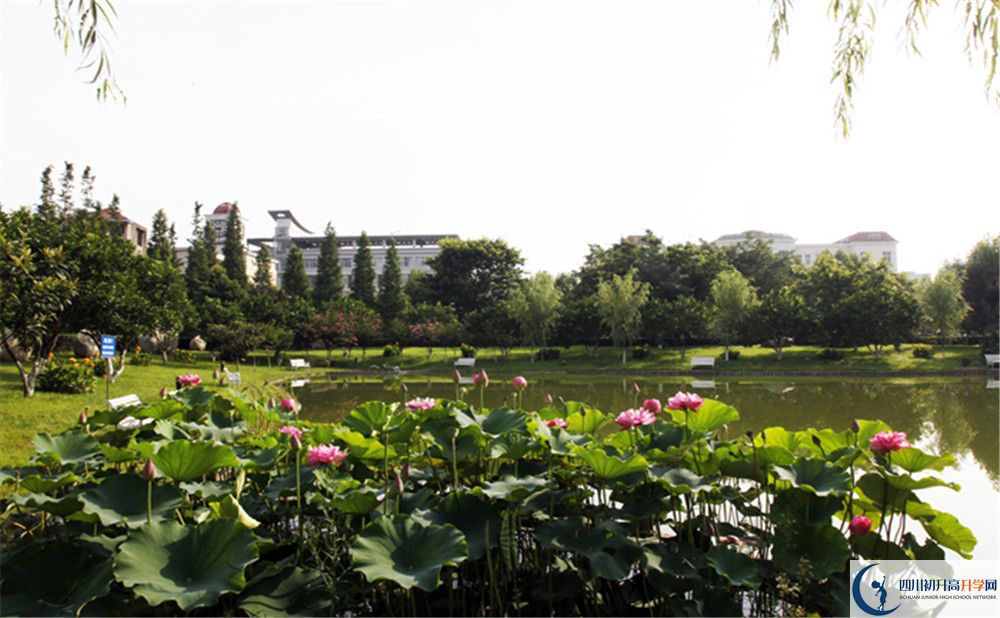 成都教科院附屬學(xué)校2020年保送清華北大的人數(shù)是多少？