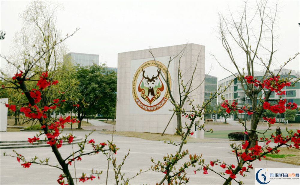 成都實(shí)驗(yàn)外國(guó)語(yǔ)學(xué)校（西區(qū)）的高中住宿怎么樣？