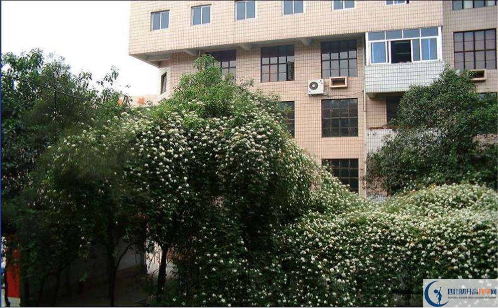 石室聯(lián)合中學(xué)蜀華分校平行班與實(shí)驗(yàn)班差多少？