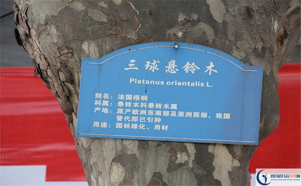 2020成都市第四十九中學(xué)高考重點大學(xué)升學(xué)率高嗎？
