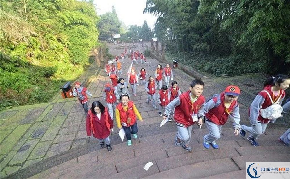 成都市泡桐樹中學(xué)和樹德中學(xué)誰好？